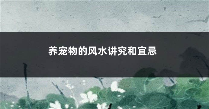 养宠物的风水讲究和宜忌