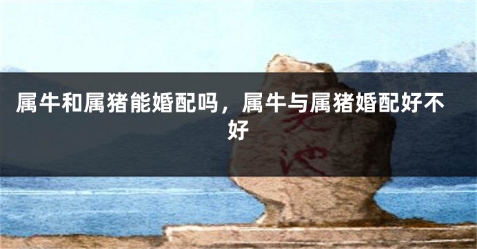 属牛和属猪能婚配吗，属牛与属猪婚配好不好