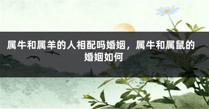 属牛和属羊的人相配吗婚姻，属牛和属鼠的婚姻如何