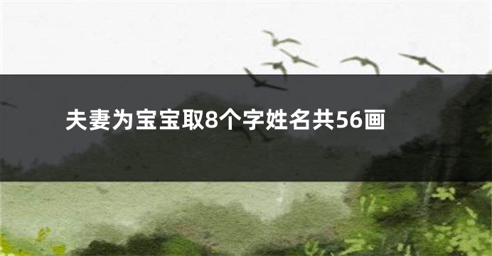 夫妻为宝宝取8个字姓名共56画
