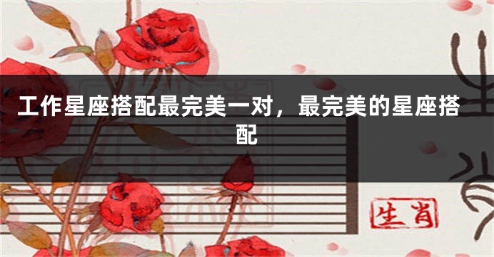 工作星座搭配最完美一对，最完美的星座搭配