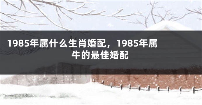 1985年属什么生肖婚配，1985年属牛的最佳婚配