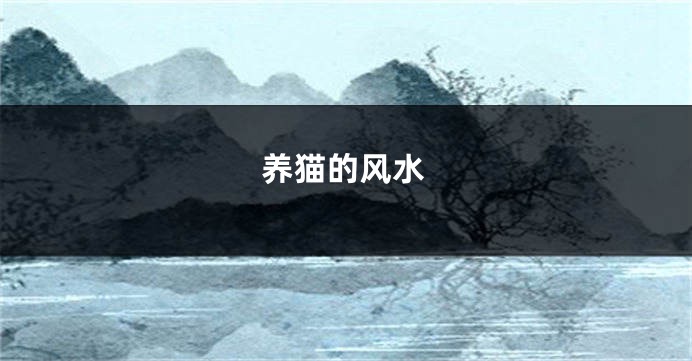 养猫的风水