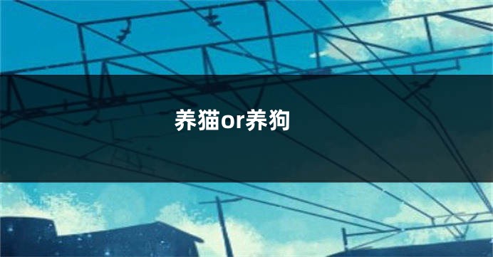 养猫or养狗