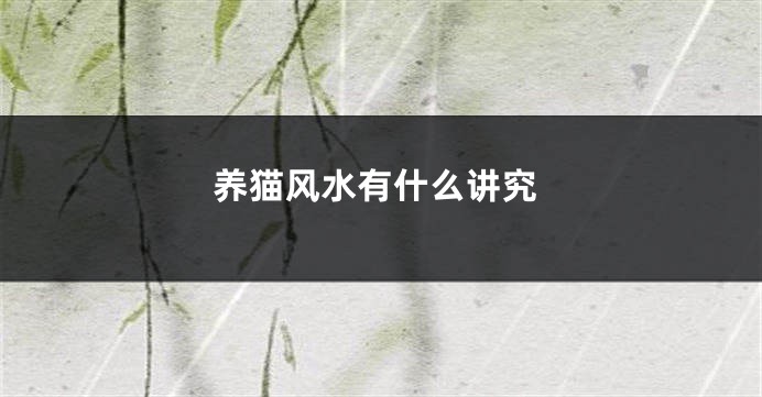 养猫风水有什么讲究