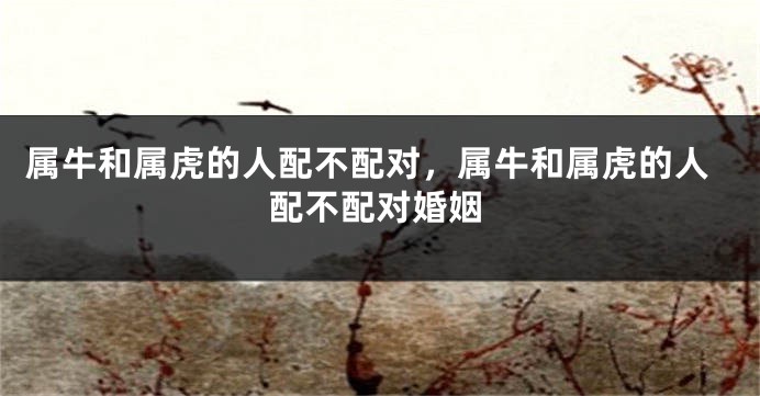 属牛和属虎的人配不配对，属牛和属虎的人配不配对婚姻
