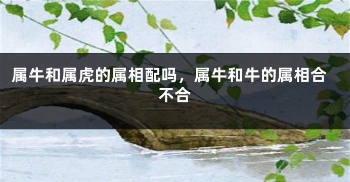 属牛和属虎的属相配吗，属牛和牛的属相合不合