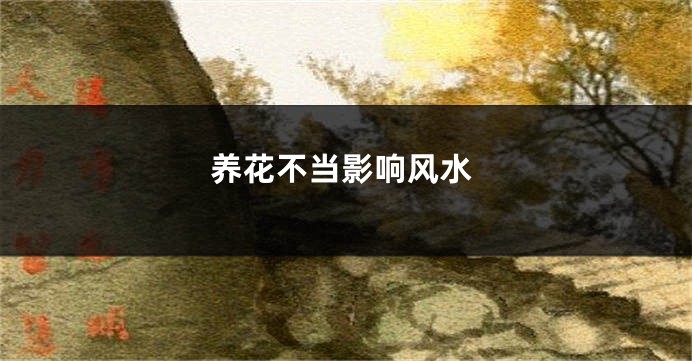 养花不当影响风水