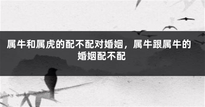 属牛和属虎的配不配对婚姻，属牛跟属牛的婚姻配不配