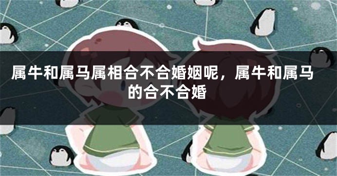 属牛和属马属相合不合婚姻呢，属牛和属马的合不合婚