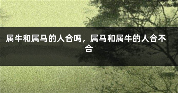 属牛和属马的人合吗，属马和属牛的人合不合