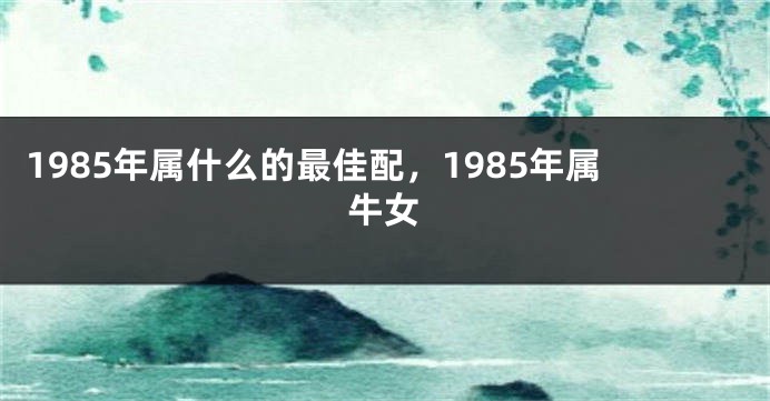 1985年属什么的最佳配，1985年属牛女