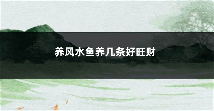 养风水鱼养几条好旺财