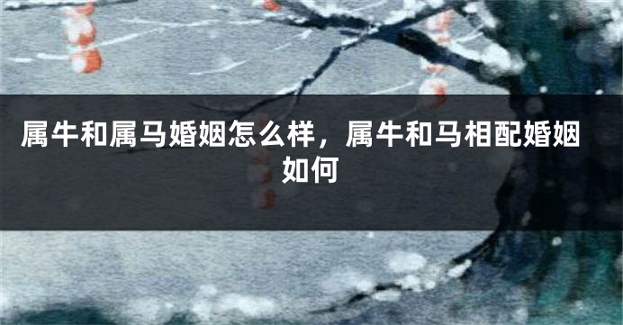 属牛和属马婚姻怎么样，属牛和马相配婚姻如何