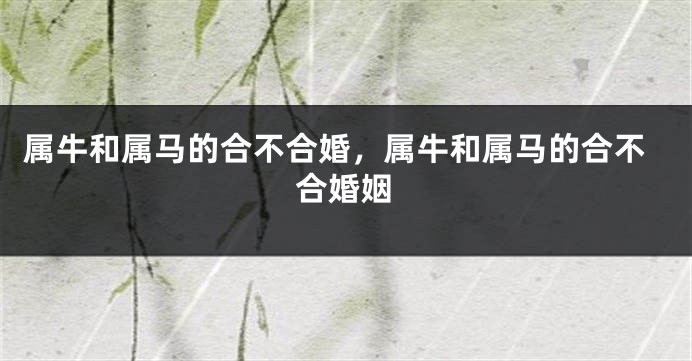 属牛和属马的合不合婚，属牛和属马的合不合婚姻