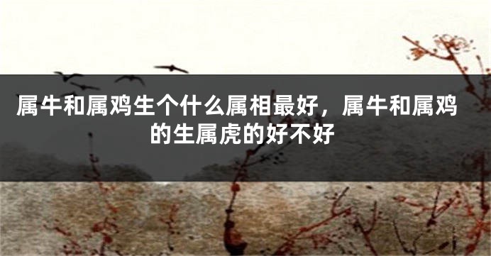 属牛和属鸡生个什么属相最好，属牛和属鸡的生属虎的好不好