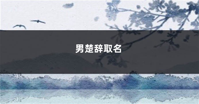 男楚辞取名