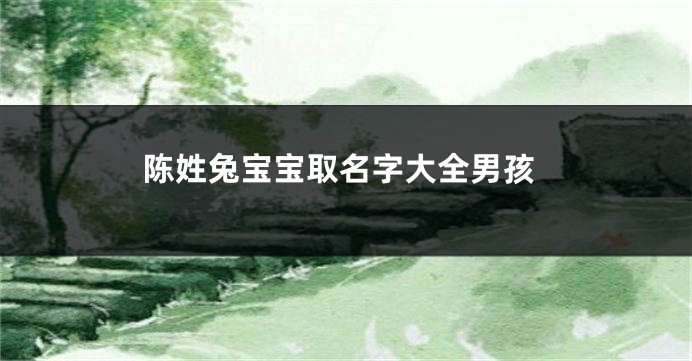 陈姓兔宝宝取名字大全男孩
