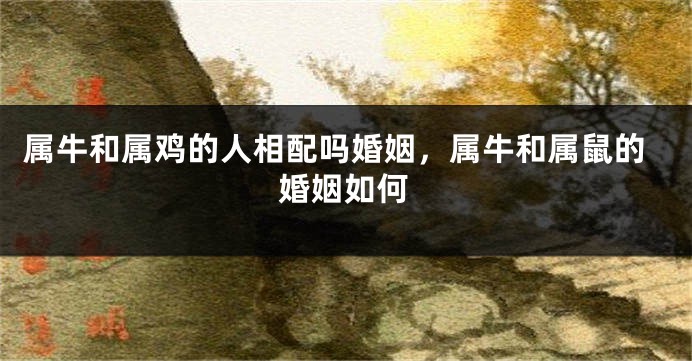属牛和属鸡的人相配吗婚姻,属牛和属鼠的婚姻如何