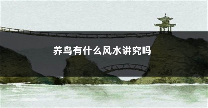 养鸟有什么风水讲究吗