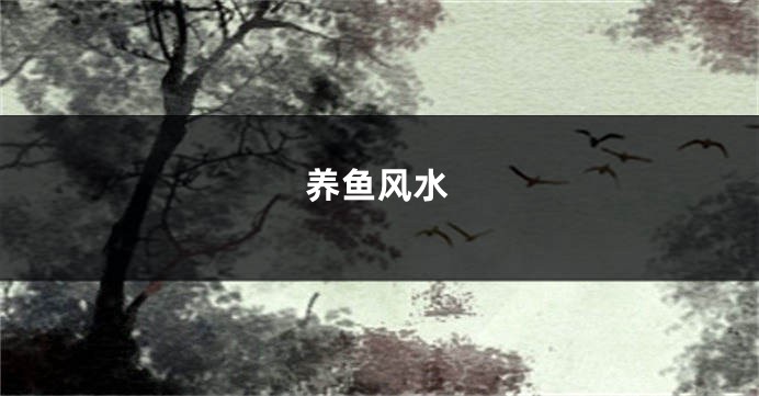 养鱼风水