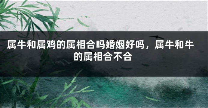 属牛和属鸡的属相合吗婚姻好吗，属牛和牛的属相合不合