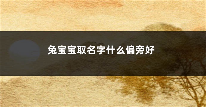 兔宝宝取名字什么偏旁好