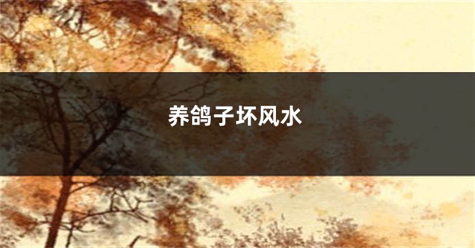 养鸽子坏风水