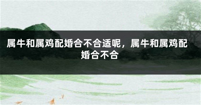 属牛和属鸡配婚合不合适呢，属牛和属鸡配婚合不合