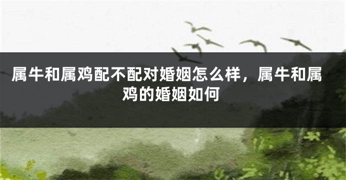 属牛和属鸡配不配对婚姻怎么样，属牛和属鸡的婚姻如何
