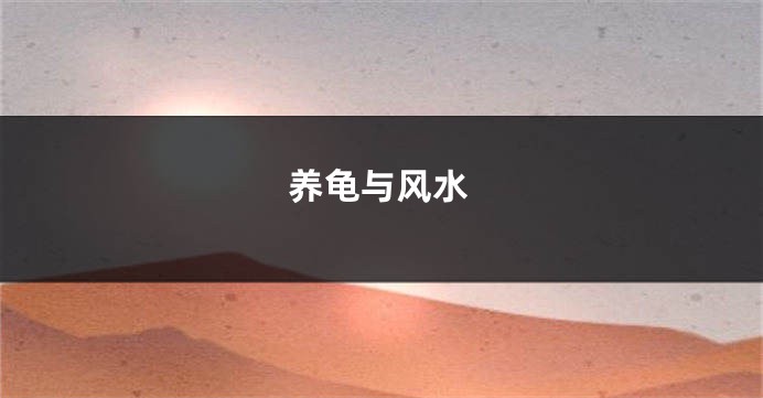 养龟与风水
