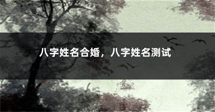 八字姓名合婚，八字姓名测试