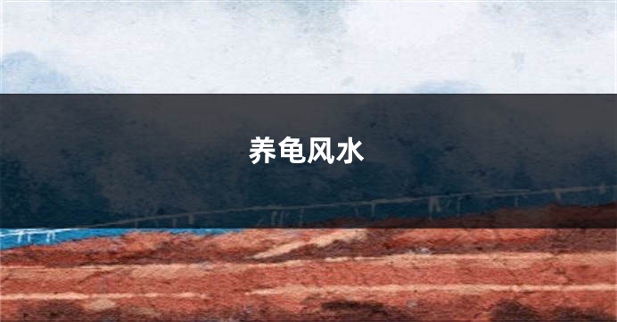 养龟风水