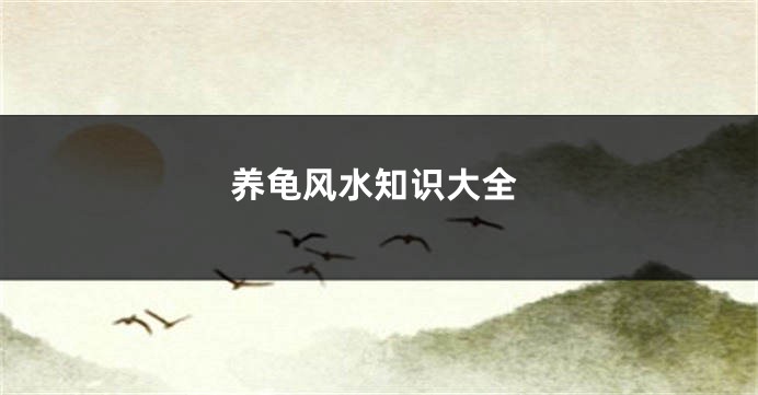 养龟风水知识大全