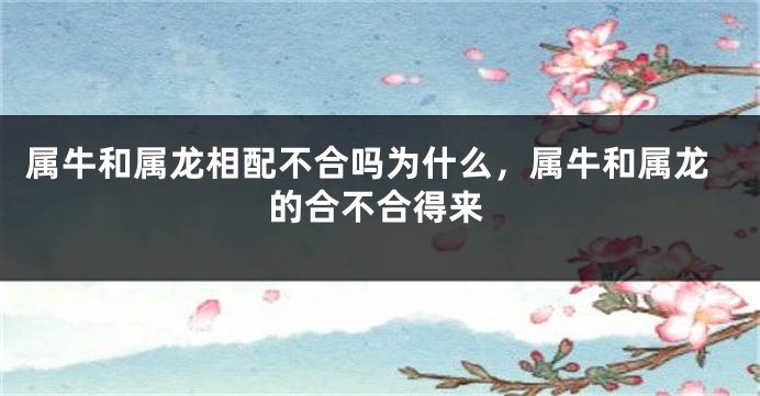属牛和属龙相配不合吗为什么，属牛和属龙的合不合得来