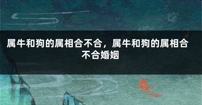 属牛和狗的属相合不合，属牛和狗的属相合不合婚姻