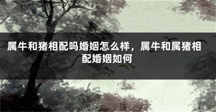 属牛和猪相配吗婚姻怎么样，属牛和属猪相配婚姻如何