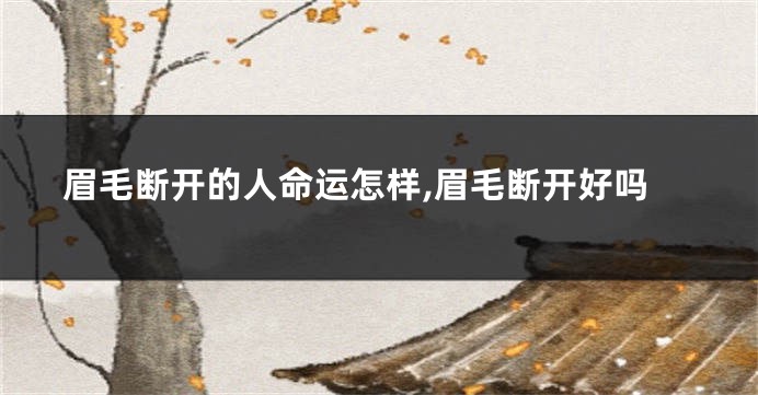 眉毛断开的人命运怎样,眉毛断开好吗