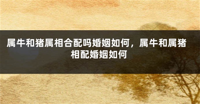 属牛和猪属相合配吗婚姻如何，属牛和属猪相配婚姻如何