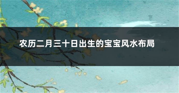 农历二月三十日出生的宝宝风水布局