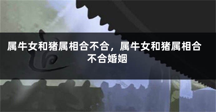 属牛女和猪属相合不合，属牛女和猪属相合不合婚姻