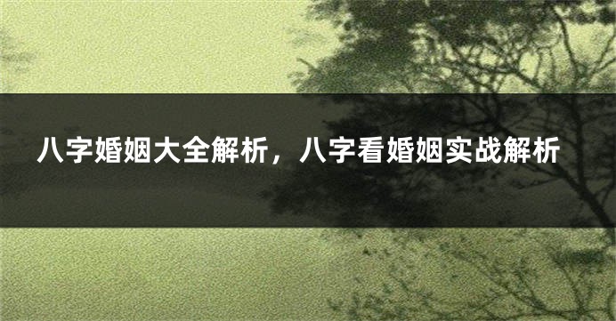 八字婚姻大全解析，八字看婚姻实战解析