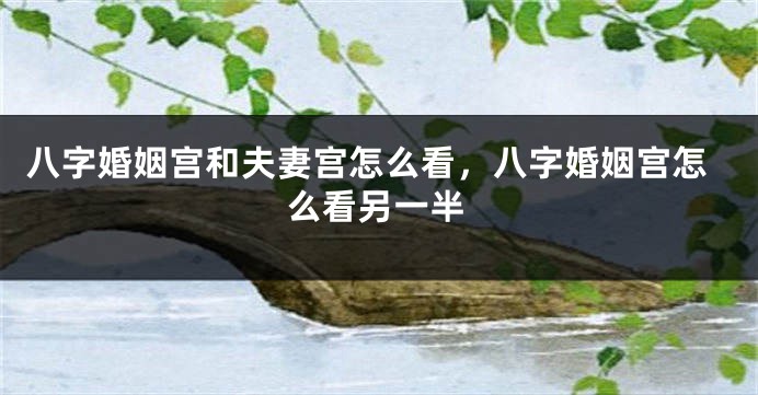 八字婚姻宫和夫妻宫怎么看，八字婚姻宫怎么看另一半