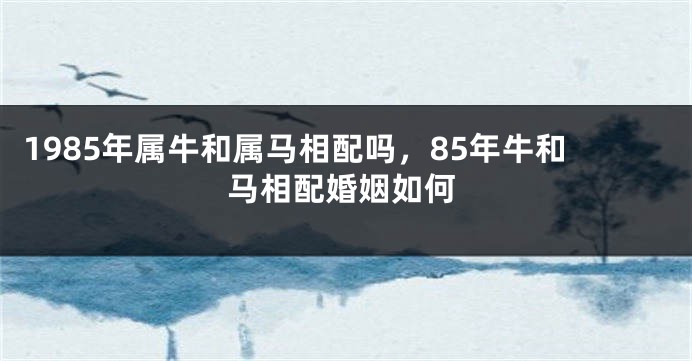 1985年属牛和属马相配吗，85年牛和马相配婚姻如何