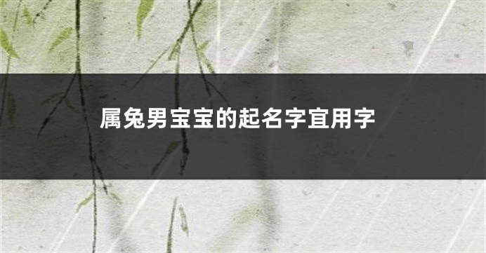 属兔男宝宝的起名字宜用字