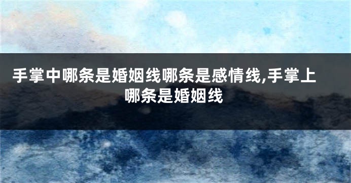 手掌中哪条是婚姻线哪条是感情线,手掌上哪条是婚姻线