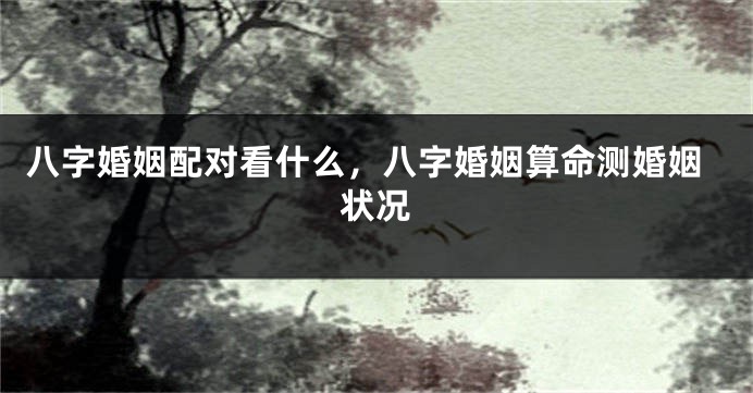 八字婚姻配对看什么，八字婚姻算命测婚姻状况
