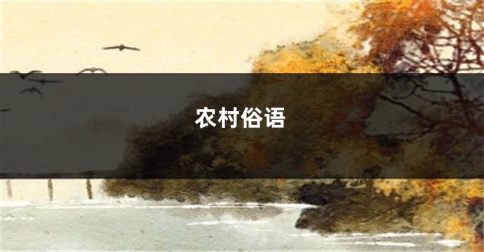农村俗语