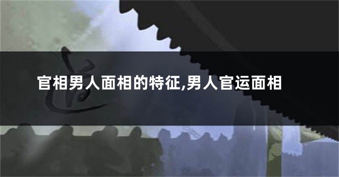 官相男人面相的特征,男人官运面相