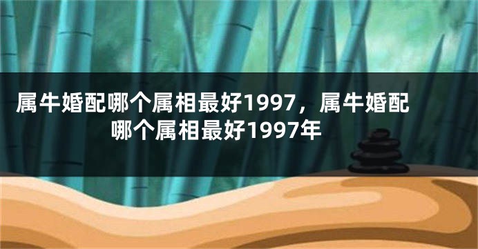 属牛婚配哪个属相最好1997，属牛婚配哪个属相最好1997年